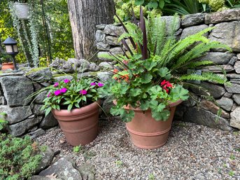 Bodacious Pair Of Large Potted Plants