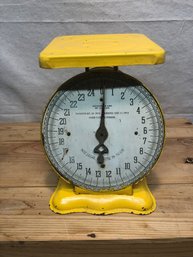 Antique 8 1/2 Tall 25 Pound Scale 1913