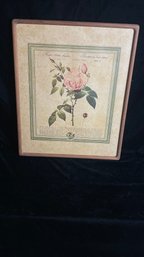 Botanical Print Of Flower In Frame