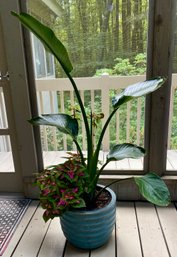 Pottery Planter With Live Plants