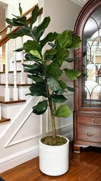 A Large Faux Ficus In Modern Planter