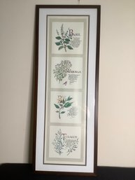 FRAMED PRINT OF DIFFERENT HERBS