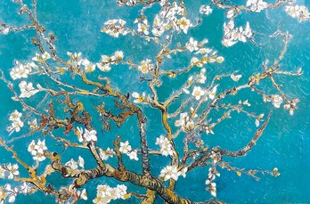 Vincent Van Gogh - Almond Branches In Bloom, 1890 - Offset Lithograph