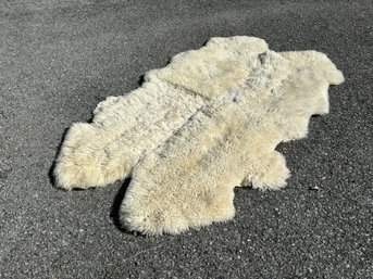 A Sheepskin Rug