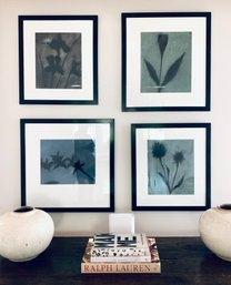 Four Framed Modern Botanical Prints  (LOC: W1)