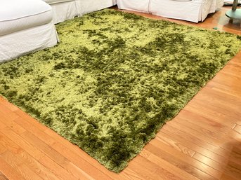 A Fabulous Shag Rug!