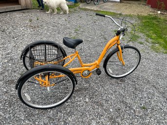 Alameda Three Wheeler Bike