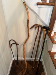 Group Of  7 Walking Sticks