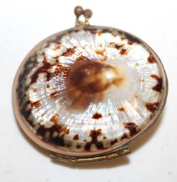 Beautiful Antique Victorian Cowry Shell Snuff/ Trinket Box Kiss Closure
