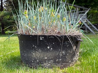 A Large Cast Iron Planter With Live Grass