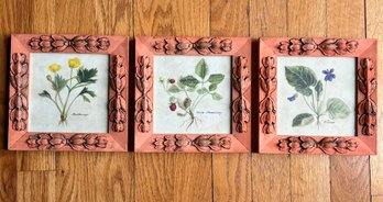 A Trio Of Vintage Botanical Lithographs