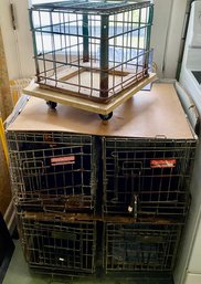 Pro Select Professional Pet Crates (5)