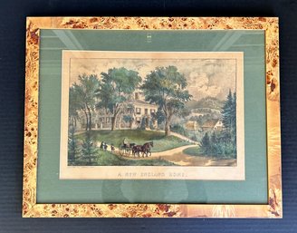 Beautifully Framed  Antique Hand Colored Lithograph With Collection Of Additional Pieces