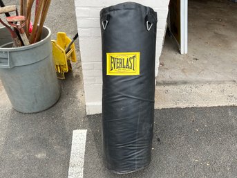 Everlast Punching Bag