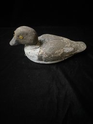 Duck Decoy