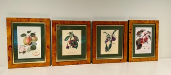 Lot Of Four Floral Prints In Frame