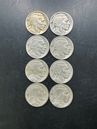 8 Buffalo Nickels 1920, 1924, 1925, 1926, 1927, 1928, 1929, 1930