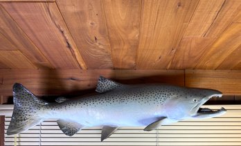 33inch Chinook King Salmon Mount