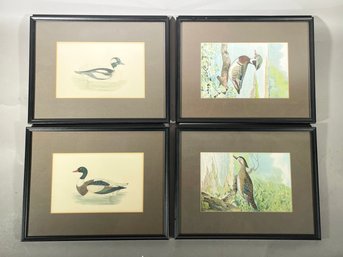 Two Pair Vintage Framed Wildfowl Lithographs