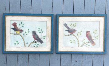 Original Vintage Bird Paintings