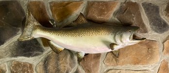 36 Inch Right Facing Cutthroat Trout