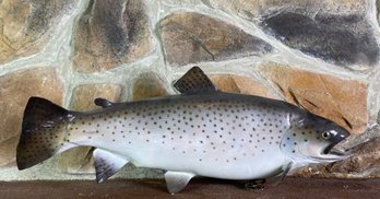 22 Inch Right Facing Girthy Brown Trout