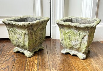 A Pair Of Cast Stone Planters