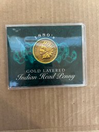 Beautiful 1880's Golden Indian Head History With Story & COA