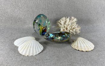 Ocean Assortment - Shells, Coral, & Fish Paperweight