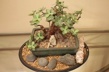 Faux Bonsai Decorative Plant