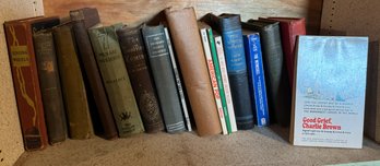 Shelf Of Books