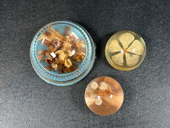 A Great Little Collection Of Lucite Paperweights With Dried Flowers, Circa 1970s