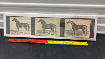 3 Panels 19th Century Engravings 29x7 Horses Live Stock Journal Chicago