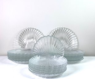 21 Scallop Shell Textured Clear Glass Dishes