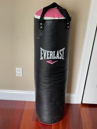 Everlast Boxing Bag