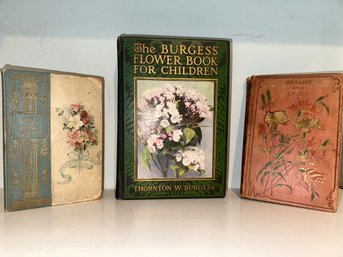 Antique Burgess Flower Book For Children ~ 1931 ~ And More