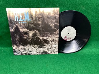 R.E.M. Murmur On 1983 I.R.S. Records.