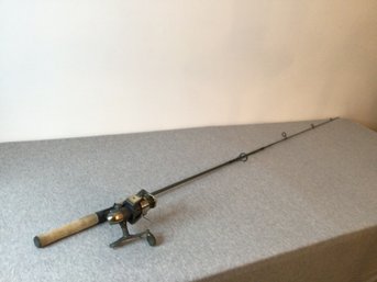 Mitchell Fishing Pole #9