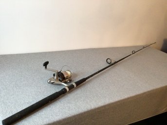 Metallix Fishing Pole #10