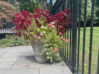 Lovely Potted Plant