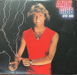 ANDY GIBB - After Dark - RS13069 LP Vinyl - 1980- W/ Flyer