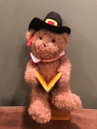 Gundfun Sitting Storytime Pilgrim Bear