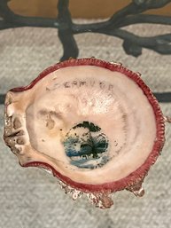 1920s Bermuda Souvenier - Unusual - Handpainted Seashell