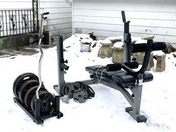 Weights And Weight Bench