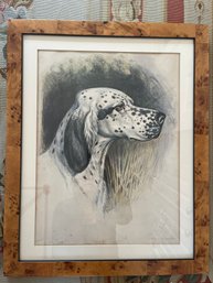 A Handsome English Setter Original Vintage Watercolor - Signed - Nicely Framed