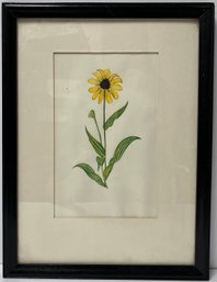 Vintage Framed Watercolor Painting - Single Flower - Black-Eyed Susan - Rudbeckia - Unsigned - 10 X13 Inches