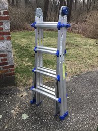 Cosco Extension/step Ladder