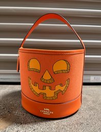 Coach Pumpkin Handled Basket, New & Unused