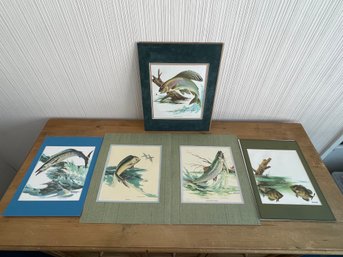 Lot Of 5 Fred Sweney Fish Prints