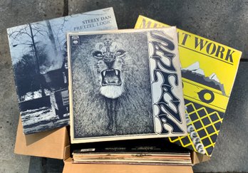 Vintage Vinyl Record Lot ~ 10 Albums ~ Men At Work, Steely Dan, Santana & More ~